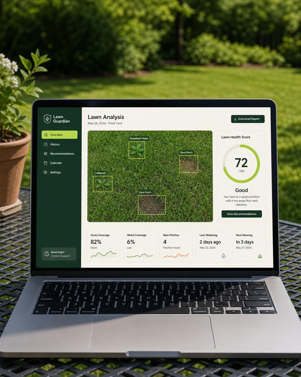 Lawn analysis dashboard preview