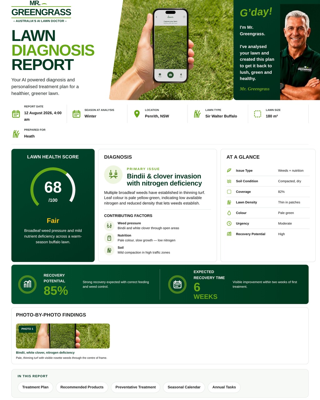 Lawn health report preview